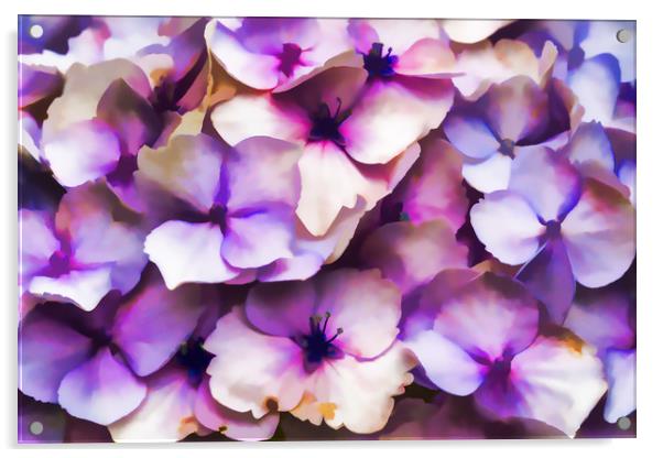 Impressions Of A Hydrangea Acrylic by Steve Purnell