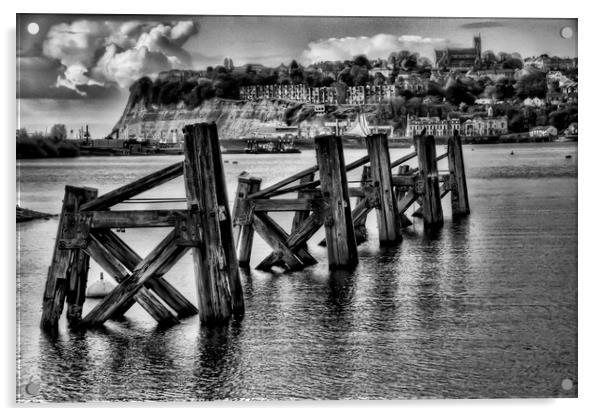 Cardiff Bay Dolphins Monochrome Acrylic by Steve Purnell