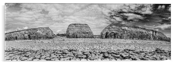 Rhoose Point Panorama Monochrome Acrylic by Steve Purnell