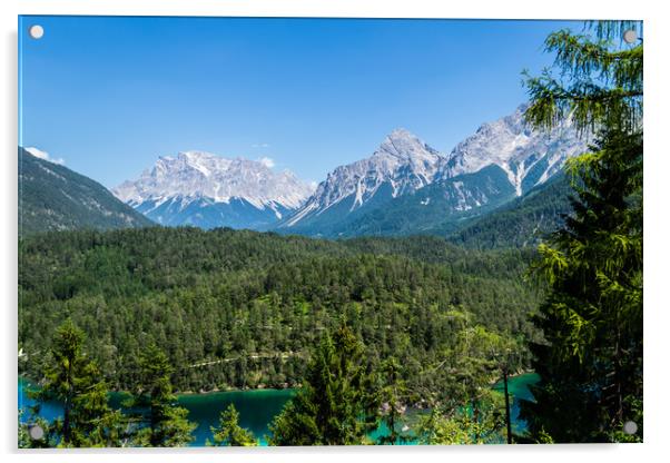 The Fern Pass Austria Acrylic by Steve Purnell