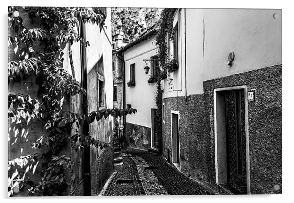 Limone Back Streets Mono Acrylic by Steve Purnell