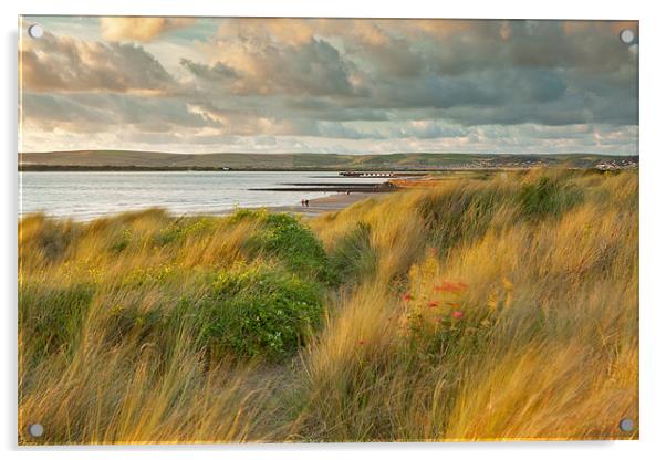 Last light On Instow Sand Dunes Acrylic by Andrew Wheatley