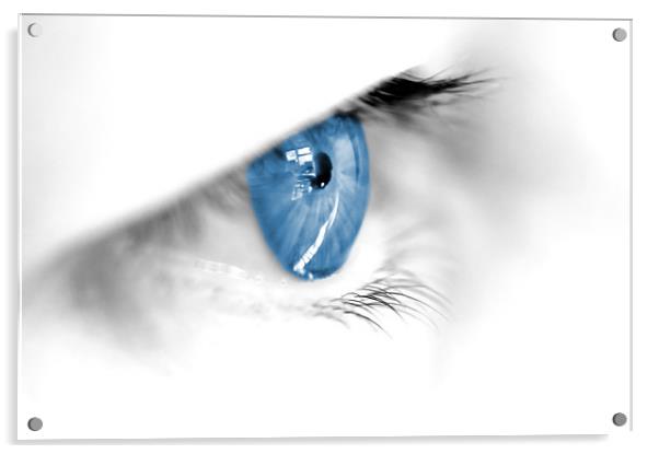 Blue eyes Acrylic by andrew bowkett