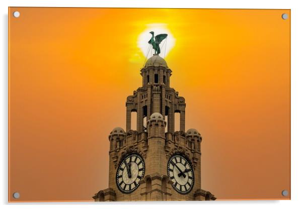 Liverbird Acrylic by Roger Green