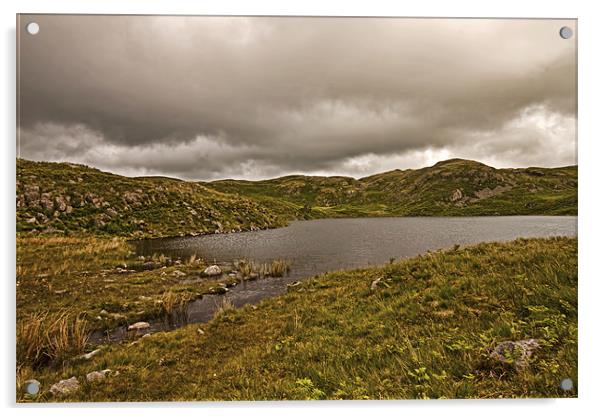 Blea Tarn Acrylic by Roger Green