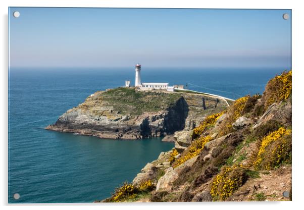 South Stack Acrylic by Roger Green