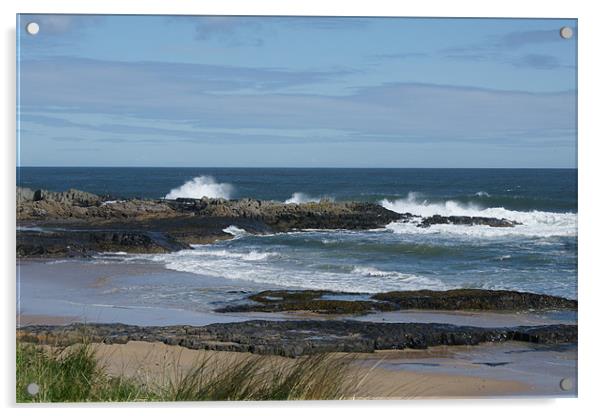 Northumberland Coast Acrylic by Dave Parkin