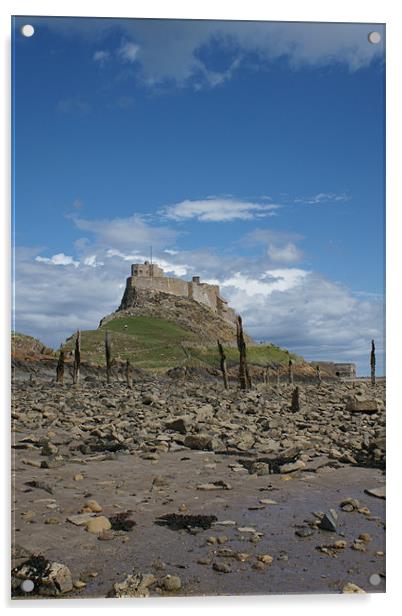 Lindisfarne Castle Acrylic by Dave Parkin