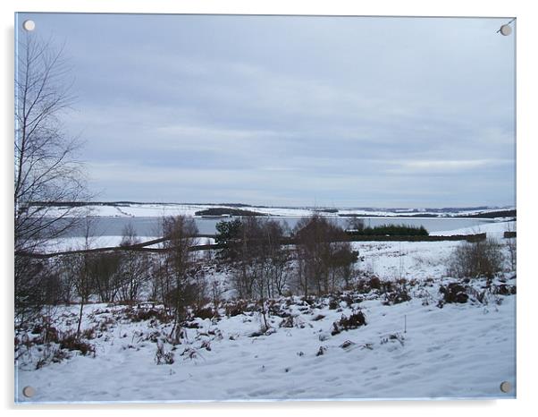 Derwent Reservoir In The Snow Acrylic by Dave Parkin