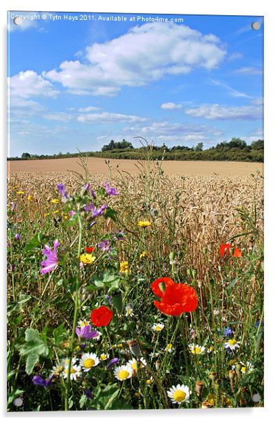 Gog Magog Flowers Acrylic by Tytn Hays