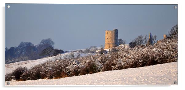 Hadleigh castle in the Snow Acrylic by Robin Lodge