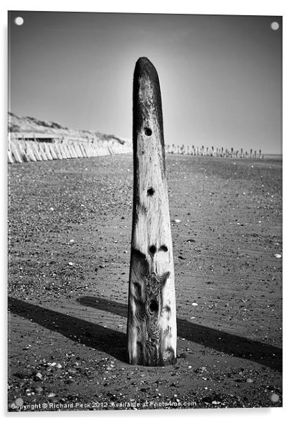 Beach Totem Acrylic by Richard Peck