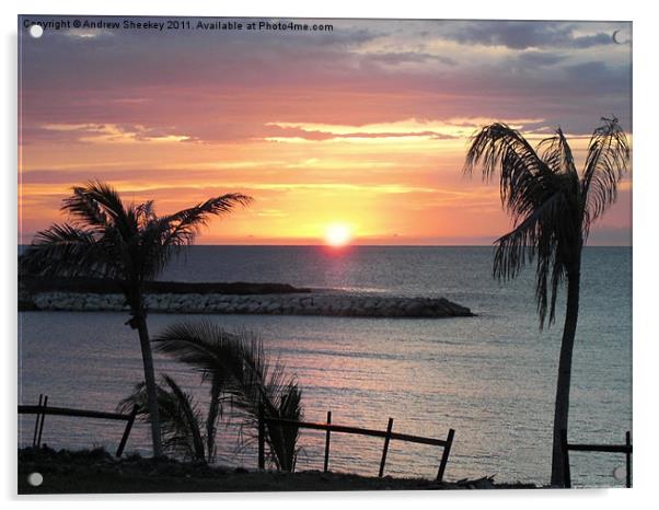 jamaican sunset Acrylic by Andrew Sheekey