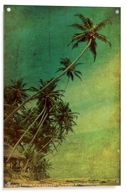 Tropical Vestige Acrylic by Andrew Paranavitana