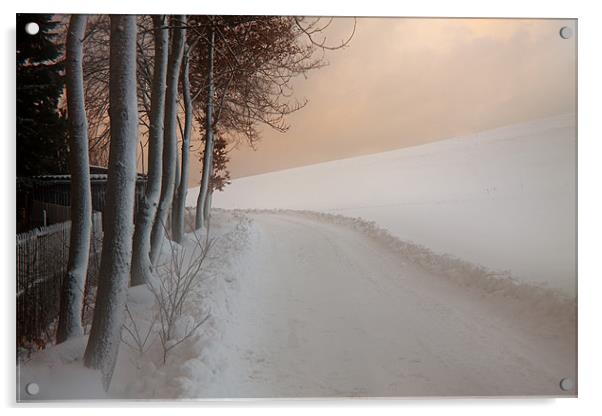 Dusk at the Edge of the Winter Forest Acrylic by Dorit Fuhg