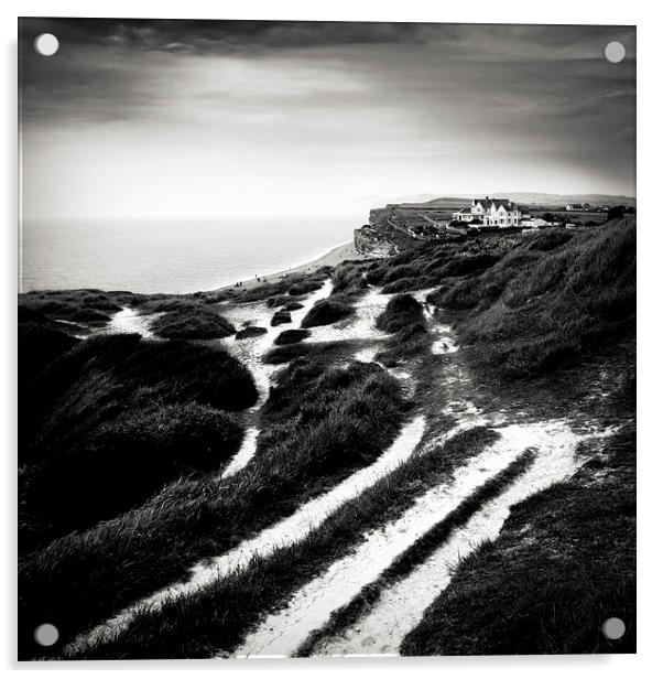 Burton Bradstock coastal path Acrylic by Dorit Fuhg