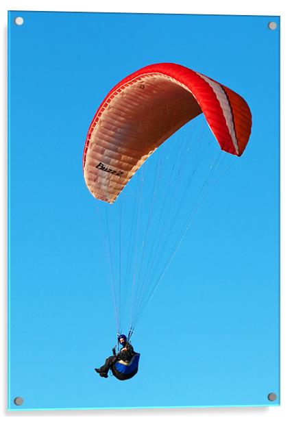 Paragliding over Dunstable Downs Acrylic by Richard Thomas