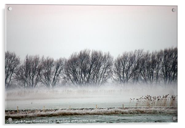 misty trees at nene washes Acrylic by Elouera Photography
