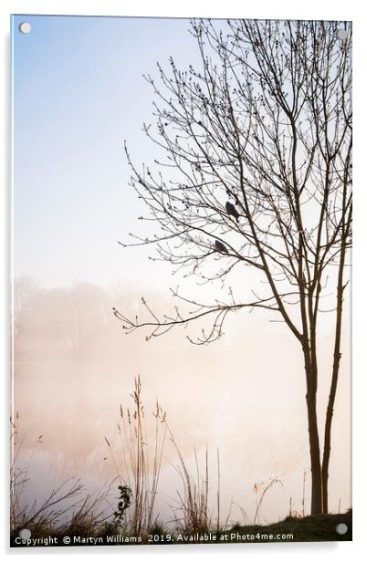 Two Birds, Misty Morning Acrylic by Martyn Williams