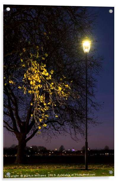 Street Light, Nottingham Acrylic by Martyn Williams
