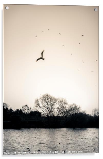 Evening Birds, River Trent Acrylic by Martyn Williams