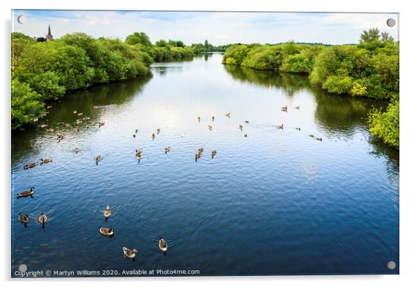 Attenborough Nature Reserve Acrylic by Martyn Williams