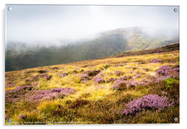 Moorland Heather, Kinder Scout Acrylic by Martyn Williams