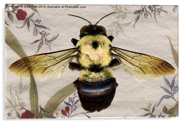 Bee Acrylic by Mary Rath