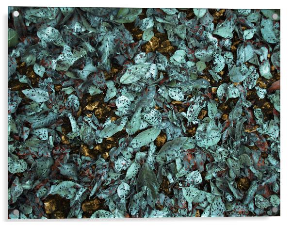 Patina Leaves Acrylic by Mary Rath