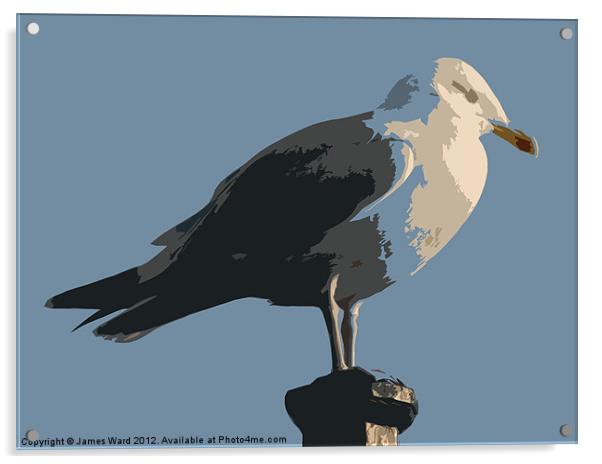 Abstract Gull Acrylic by James Ward