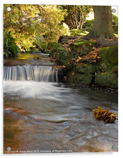 Beddington Park Waterfall Acrylic by James Ward