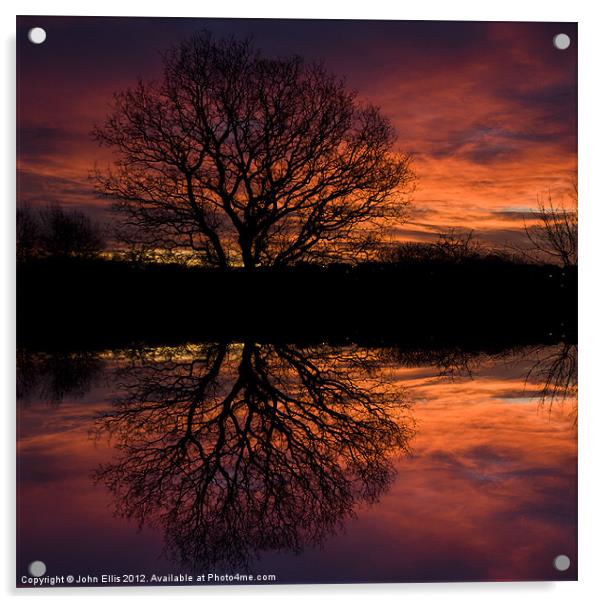 Dawn Greeting Acrylic by John Ellis