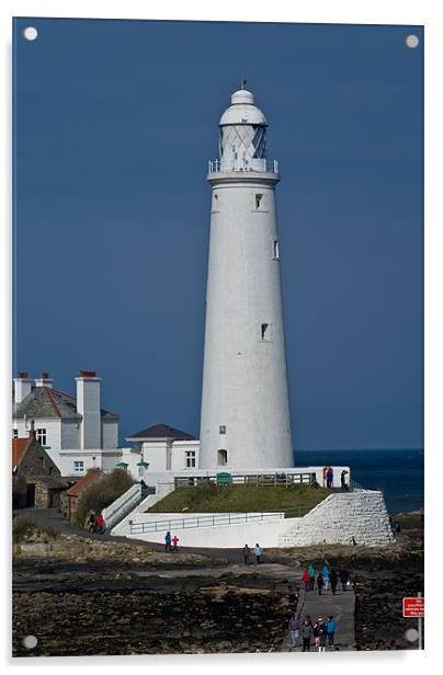 St Mary's Lighthouse Acrylic by John Ellis