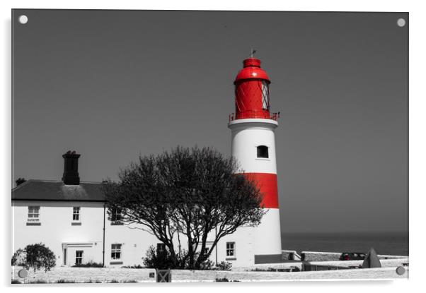 Souter Lighthouse Acrylic by John Ellis
