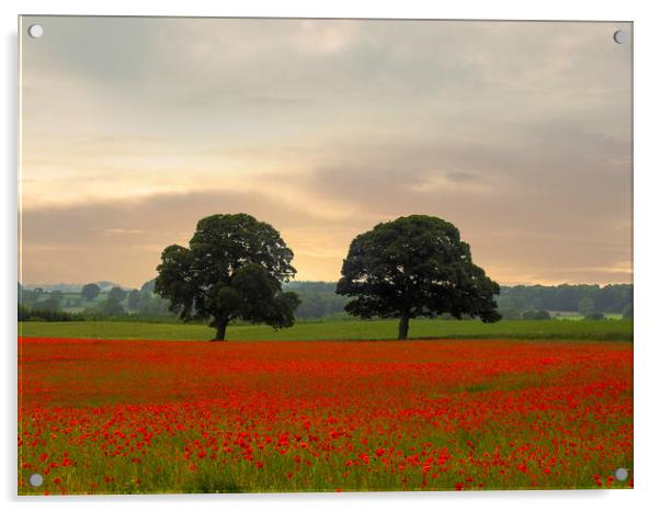 The Poppy Field Acrylic by John Ellis