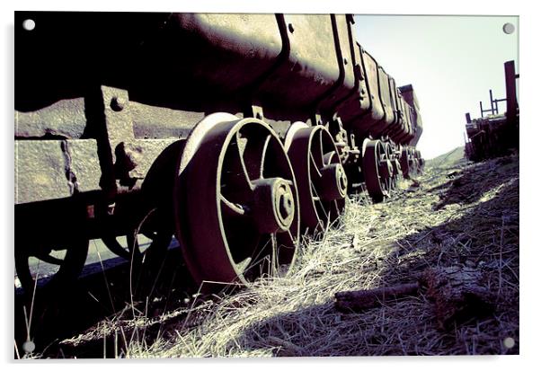 Coal Trucks left to rust Acrylic by Kelvin Futcher 2D Photography