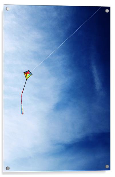 Flying High Acrylic by Kieran Brimson