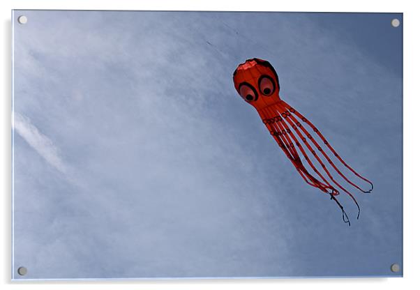 A Flying Octopus! Acrylic by Kieran Brimson