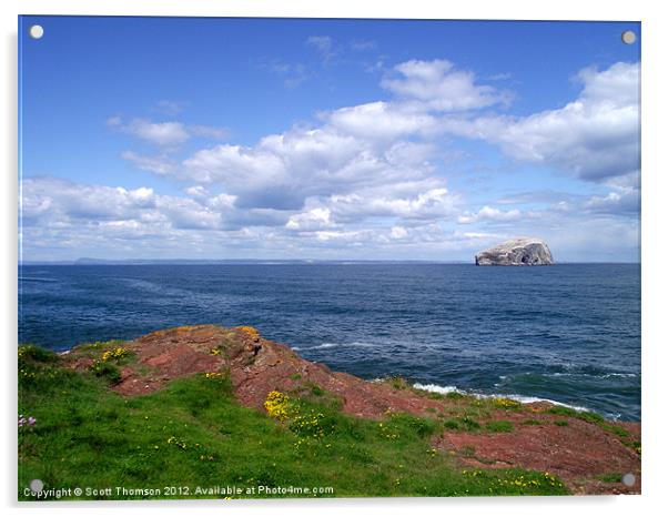 Bass Rock Acrylic by Scott Thomson