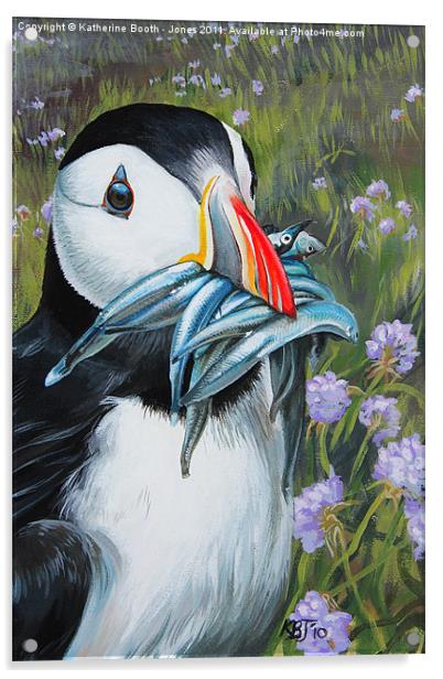 Puffin Acrylic by Katherine Booth - Jones