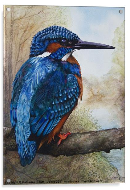 Kingfisher Acrylic by Katherine Booth - Jones