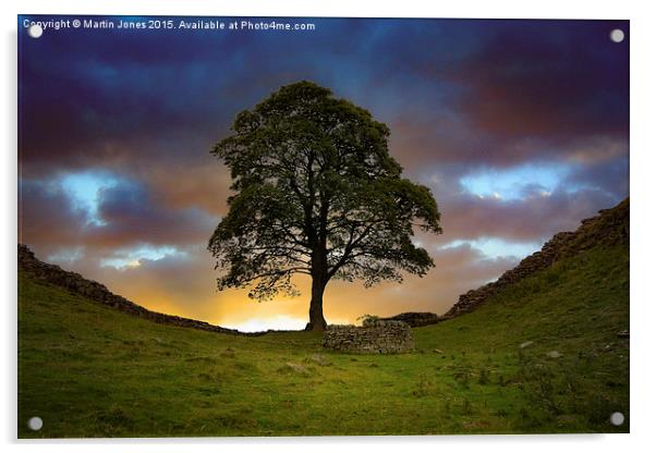  The Sycamore Gap Acrylic by K7 Photography