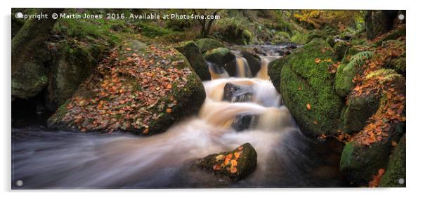 Enchanting Autumnal Stream Acrylic by K7 Photography