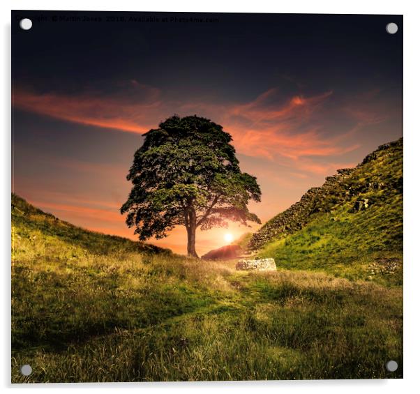 The Sycamore Gap Acrylic by K7 Photography