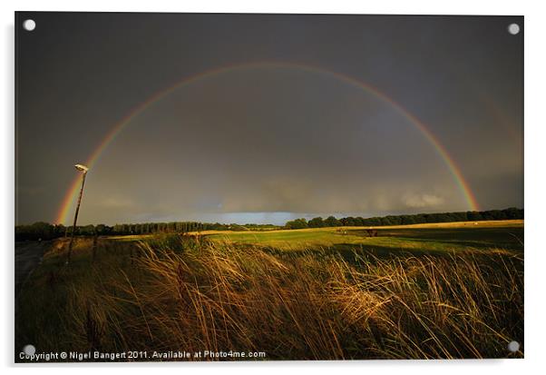 Rainbow over Harlow Common Acrylic by Nigel Bangert