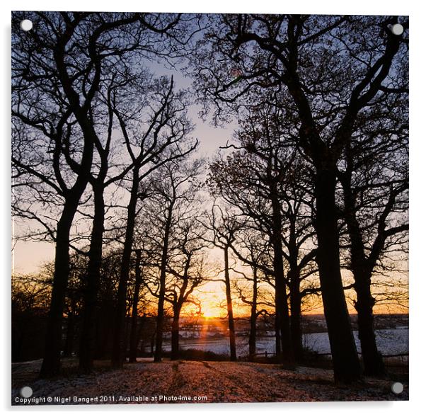 Winter Sunset Acrylic by Nigel Bangert