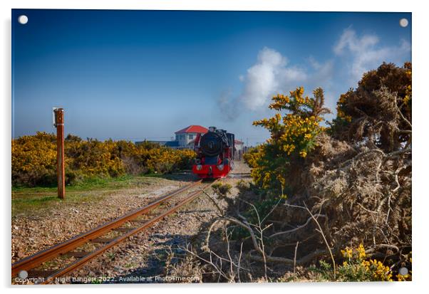 Romney, Hythe and Dymchurch Railway Acrylic by Nigel Bangert