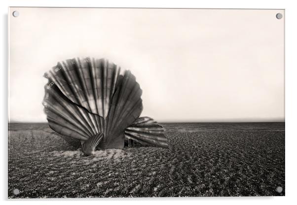 Shell Sculpture Acrylic by Nigel Bangert