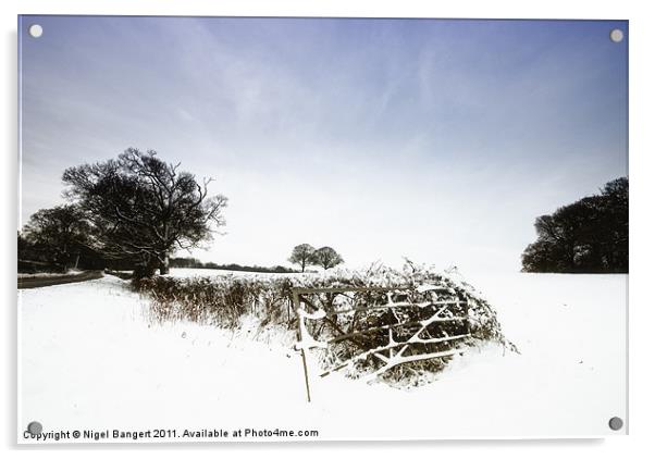 Winter Field Acrylic by Nigel Bangert