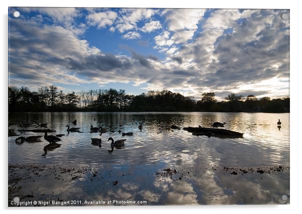 Lake Acrylic by Nigel Bangert